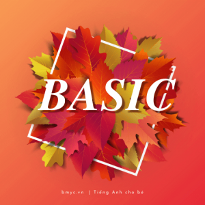bmyc-basic