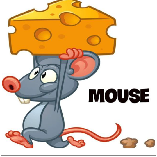 mouse