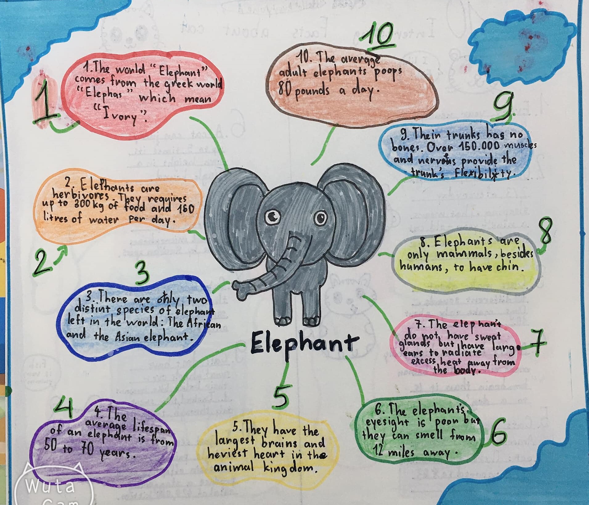 Bật mí cách vẽ sơ đồ tư duy thuyết trình tiếng Anh đơn giản nhất 7 sơ đồ tư duy elephant