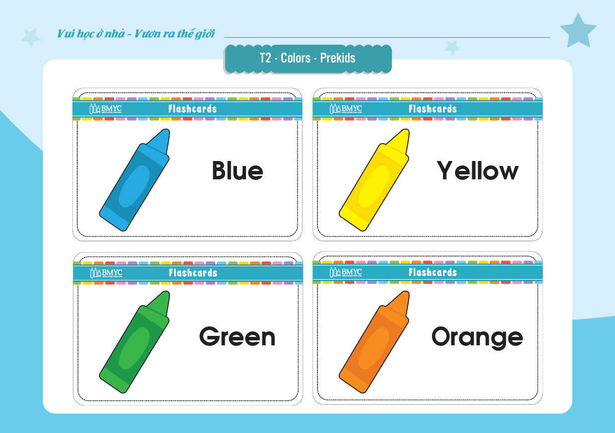 T2.Flashcards 01