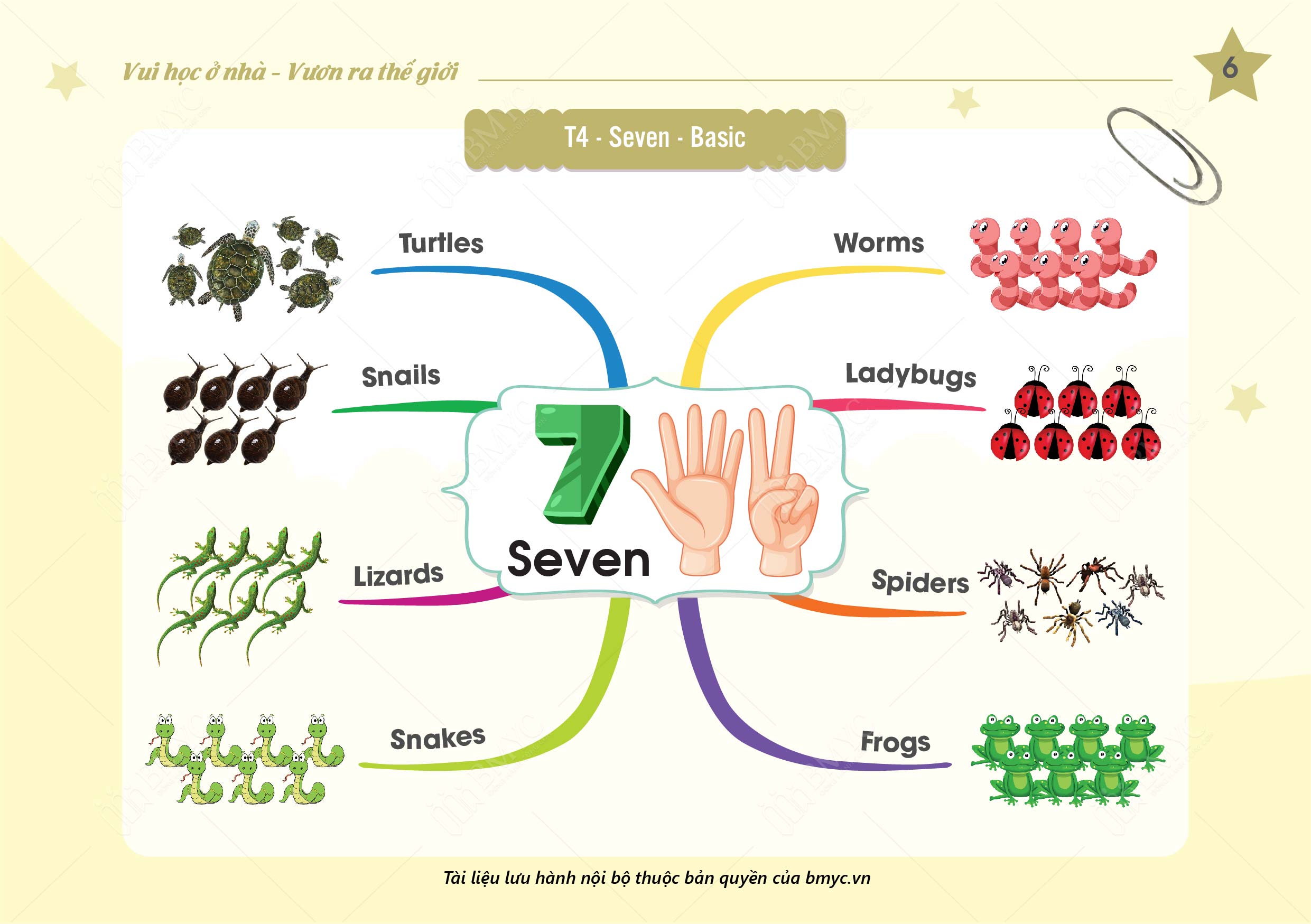 T4.Seven .Basic