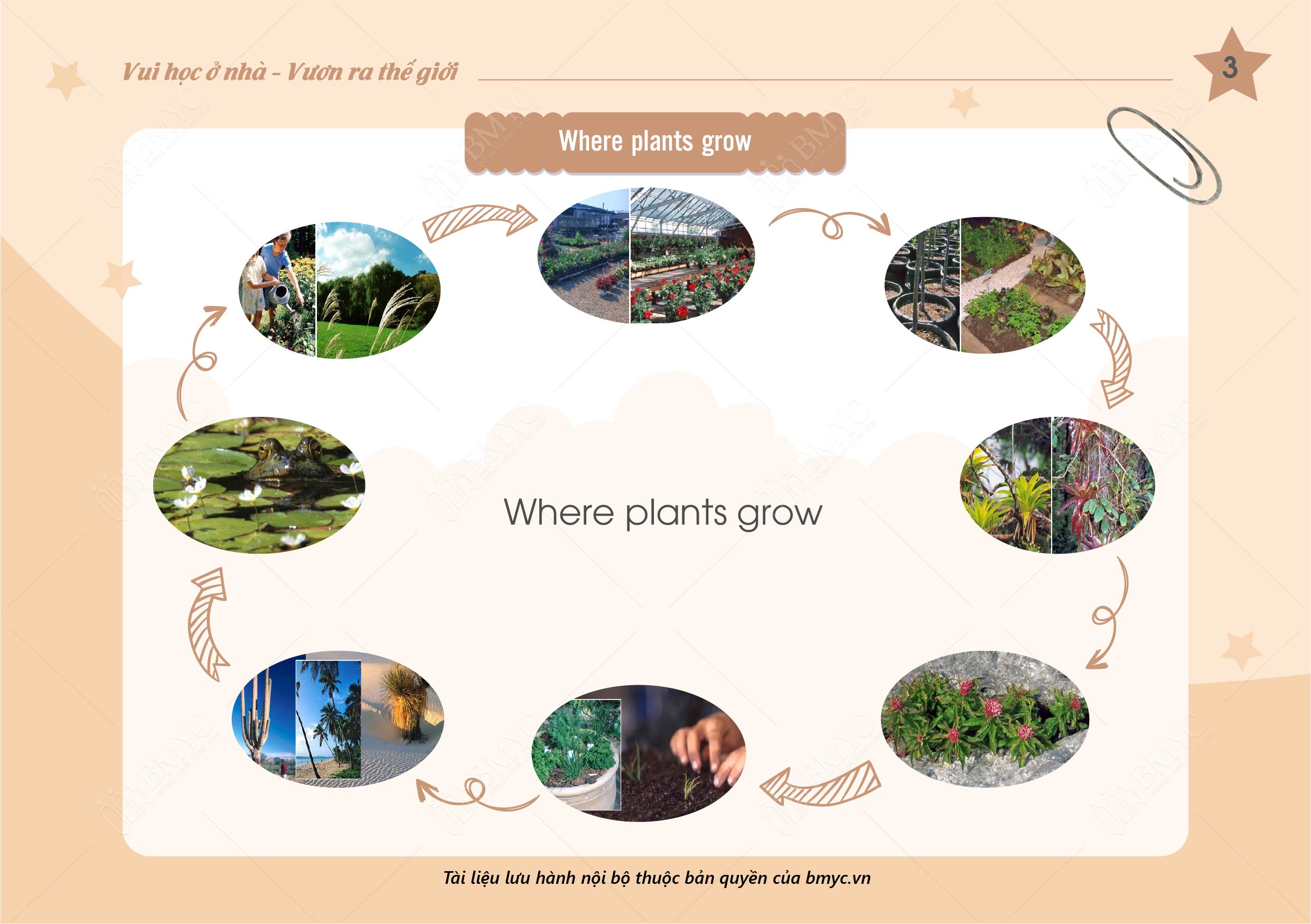 Speaking Where plants grow 01