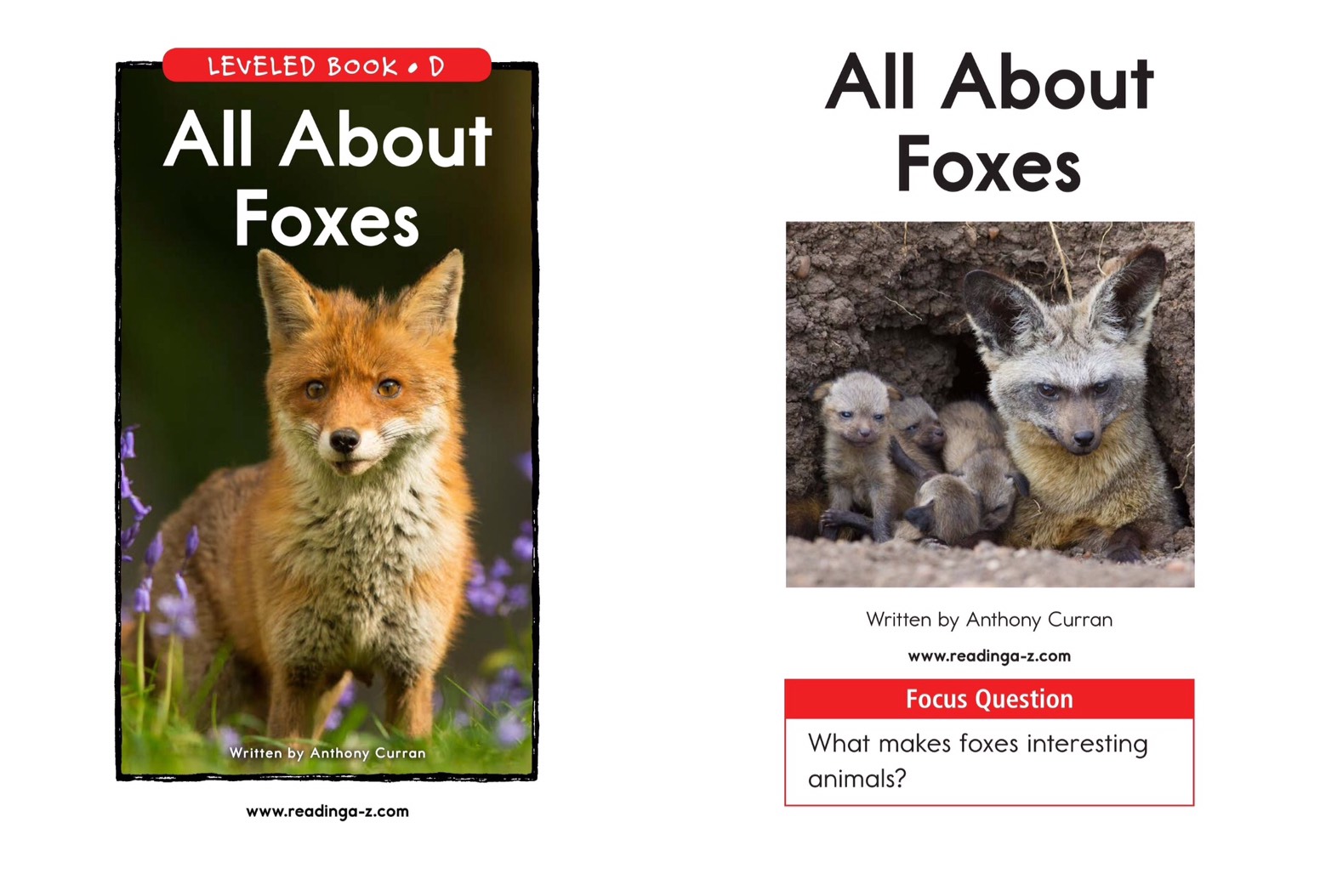 T1.spk .All About Foxes 1