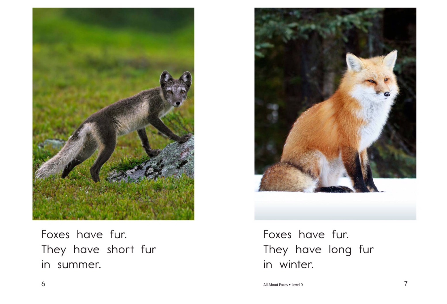 T1.spk .All About Foxes 4