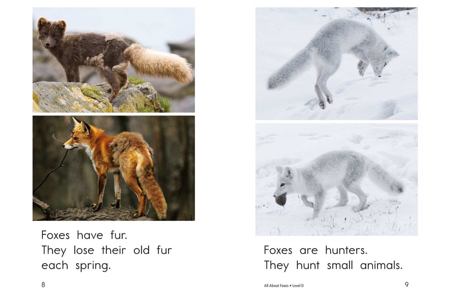 T1.spk .All About Foxes 5