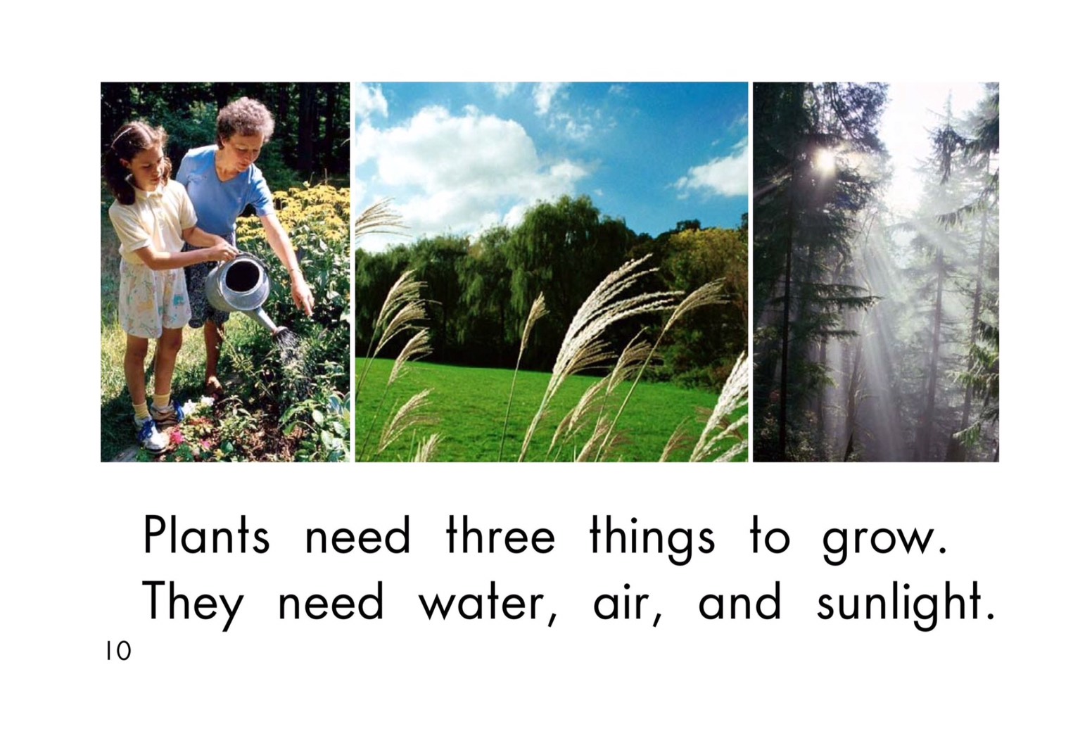 T18 spk Where plants grow 10