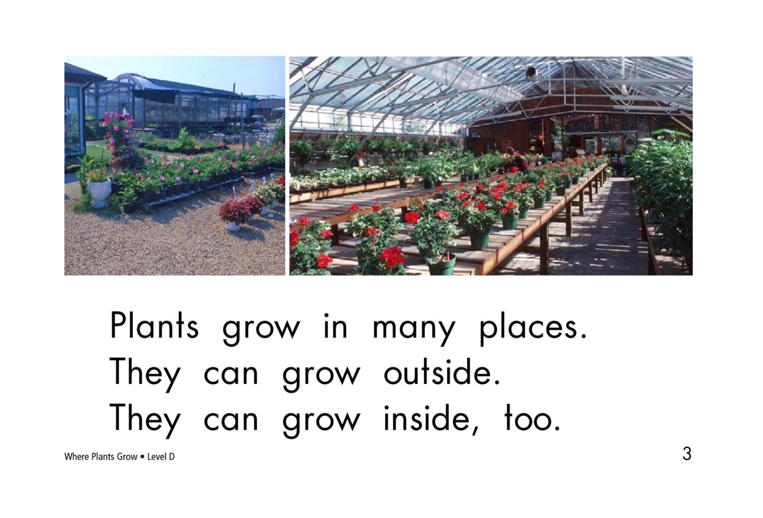 T18 spk Where plants grow 3