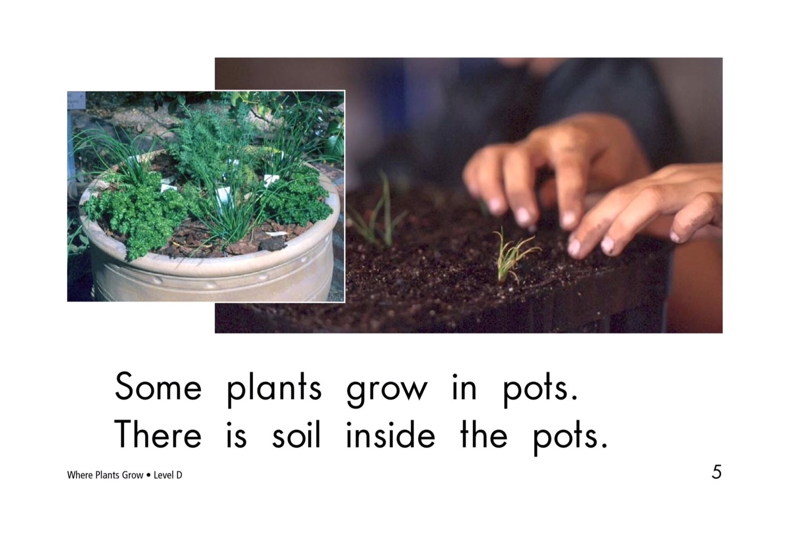 T18 spk Where plants grow 5