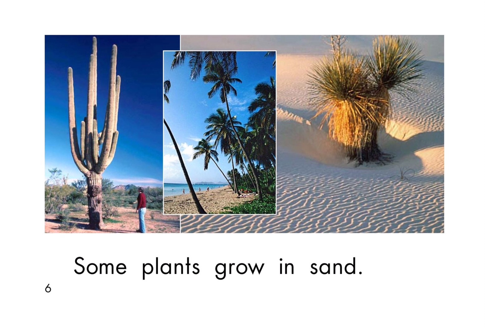 T18 spk Where plants grow 6