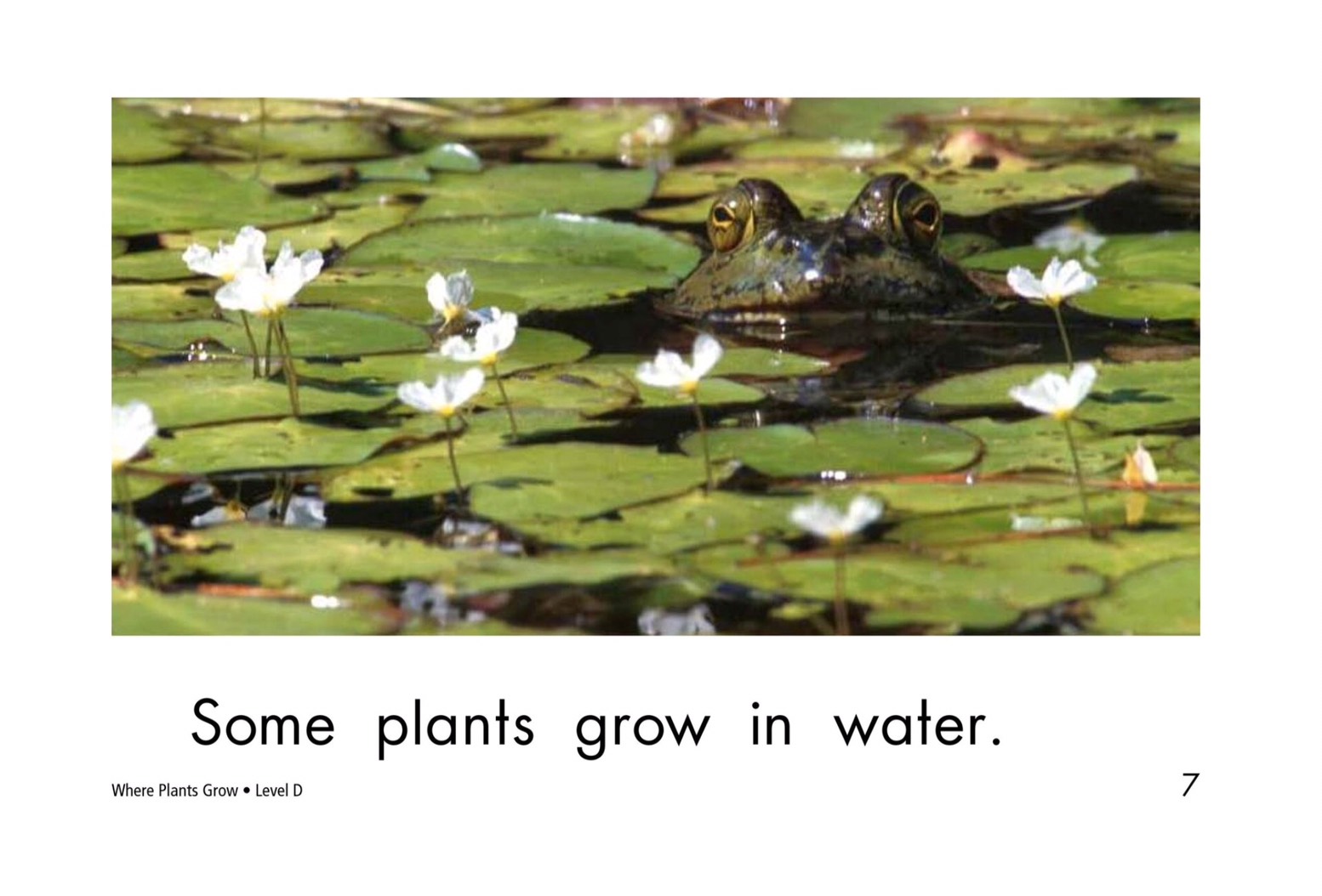 T18 spk Where plants grow 7
