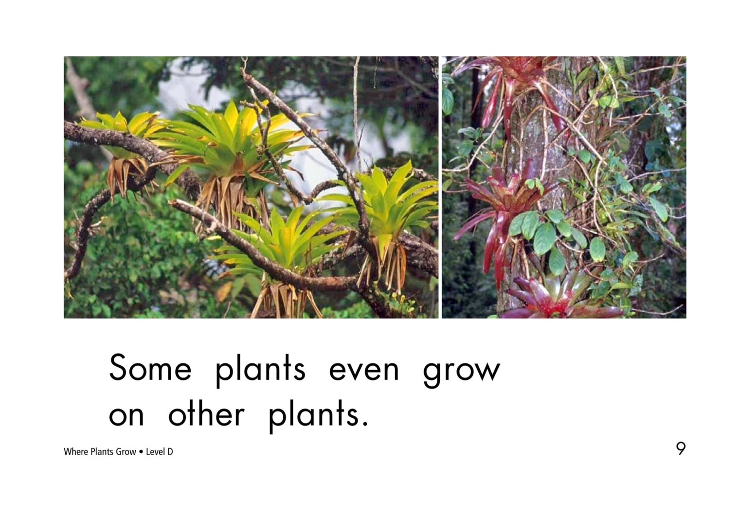 T18 spk Where plants grow 9