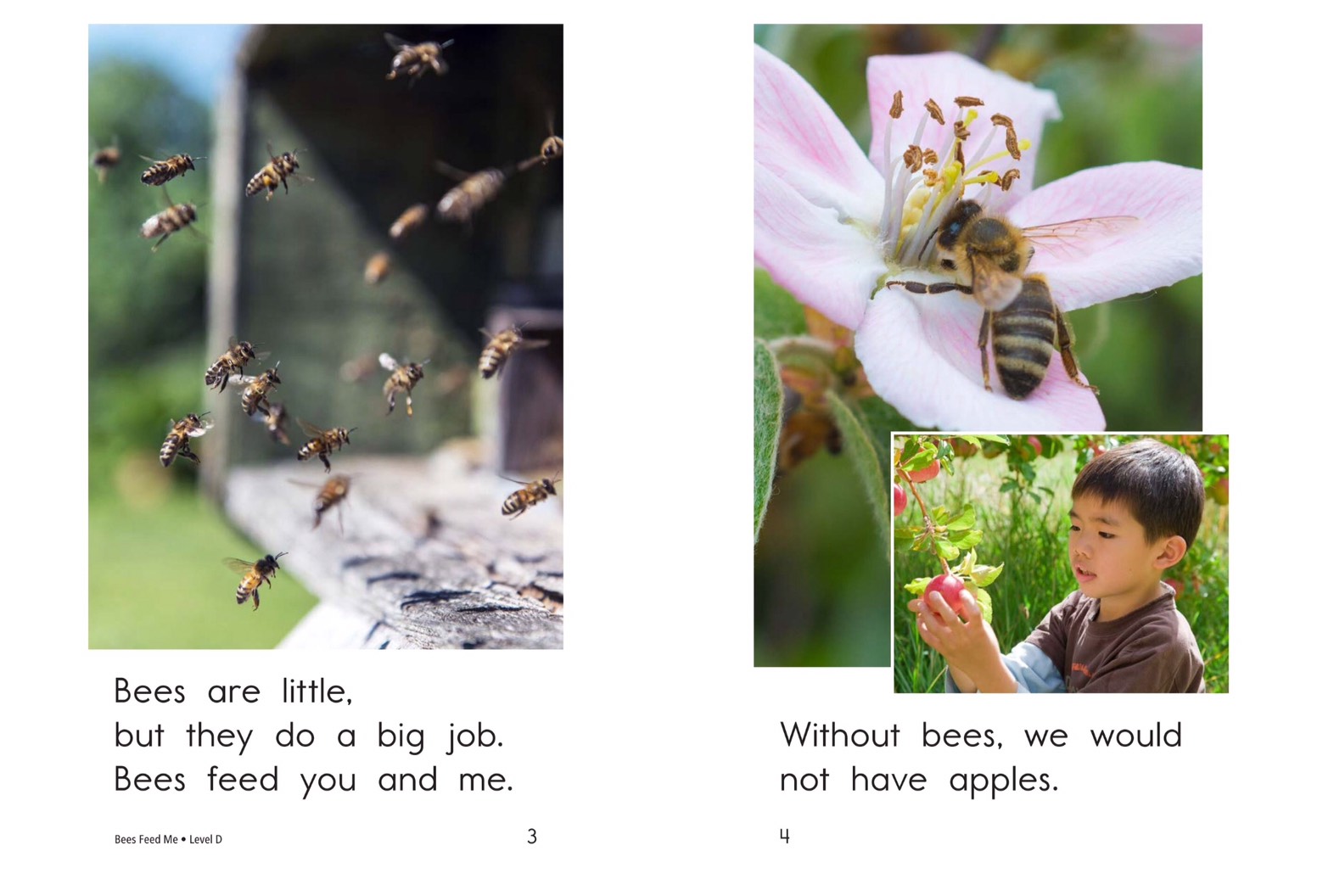 T21 spk Bees Feed Me 2