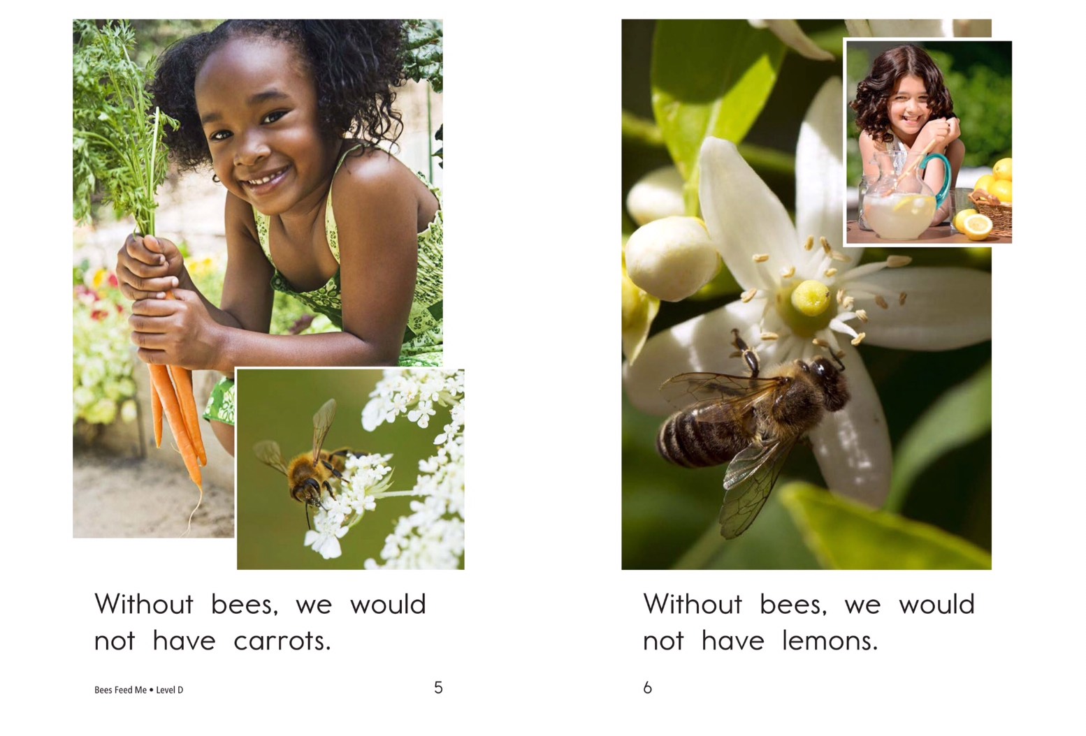 T21 spk Bees Feed Me 3