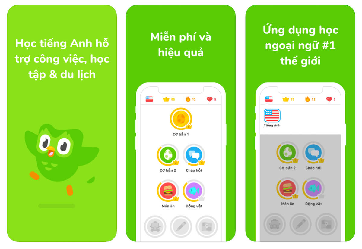 Lý do sử dụng App Duolingo