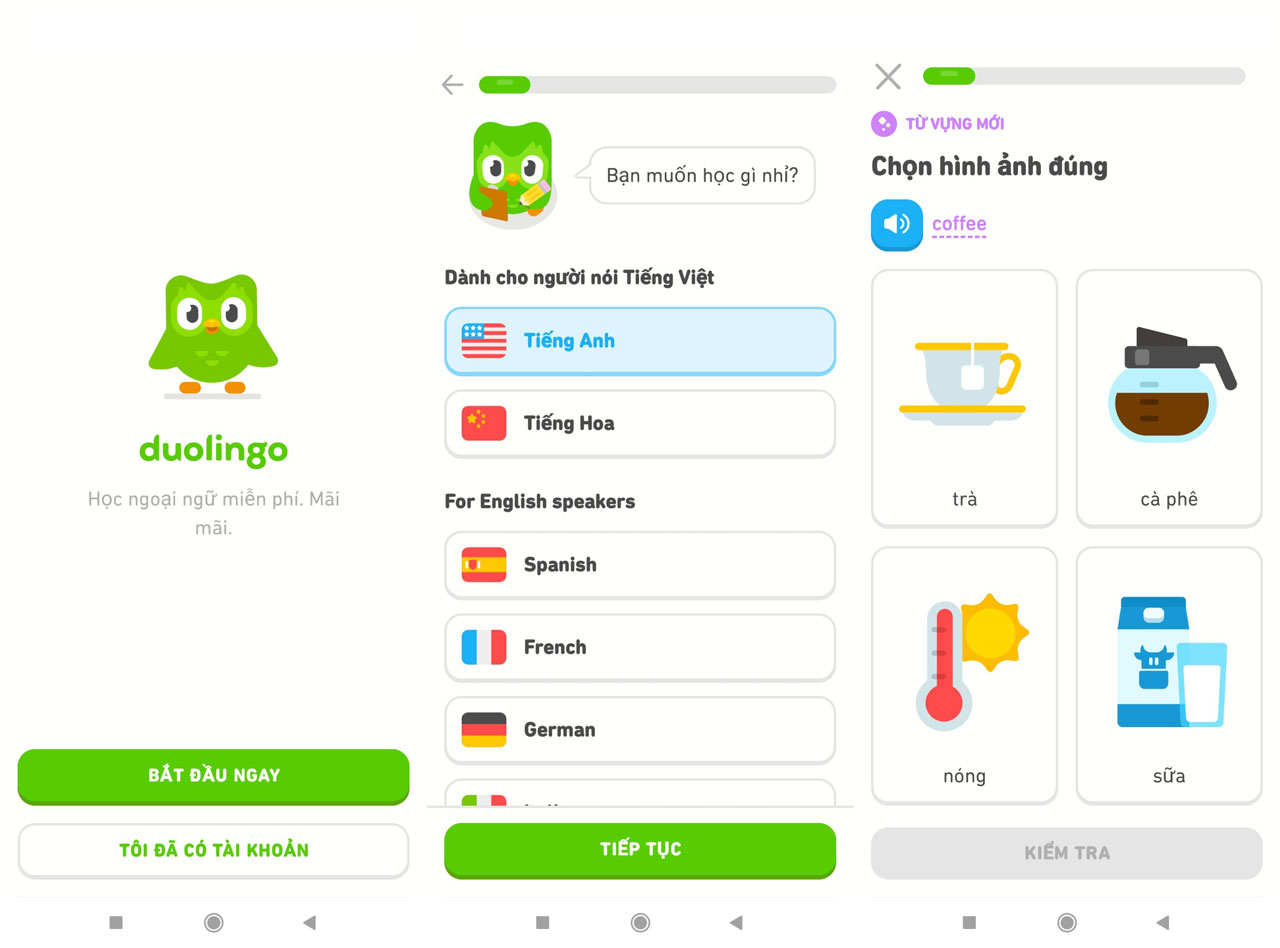 Hướng dẫn tạo tài khoản App Duolingo