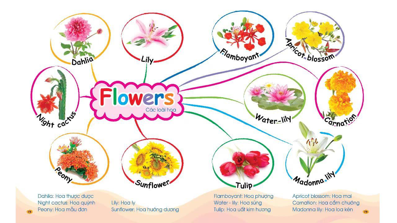 Sơ đồ tư duy theo chủ đề Flower