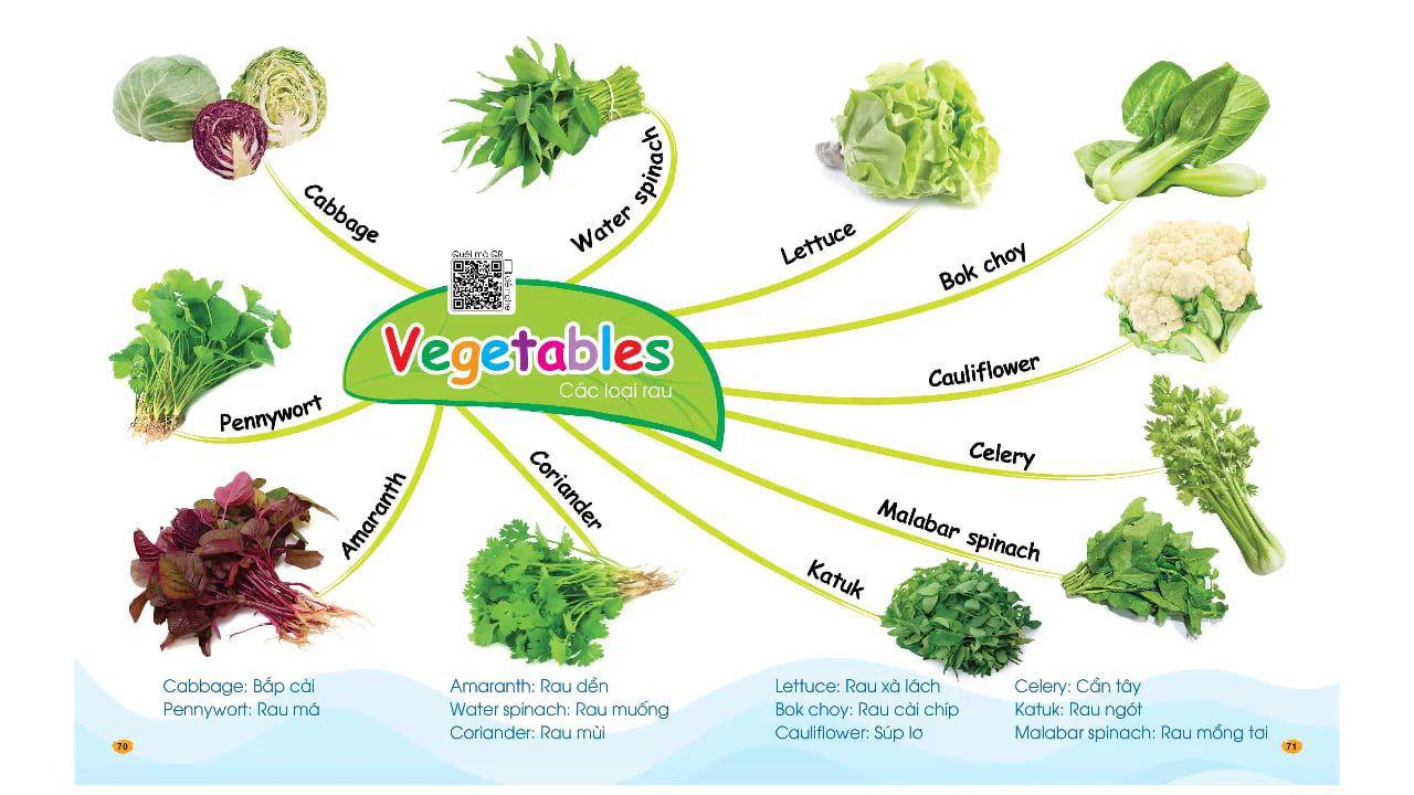 Sơ đồ tư duy theo chủ đề Vegetables