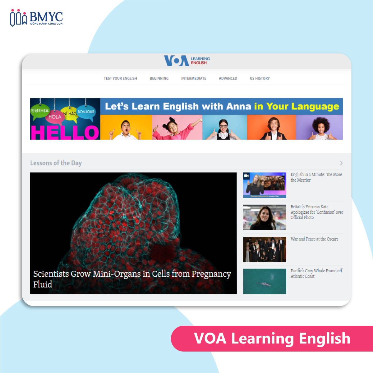 Web học tiếng Anh miễn phí VOA learning english