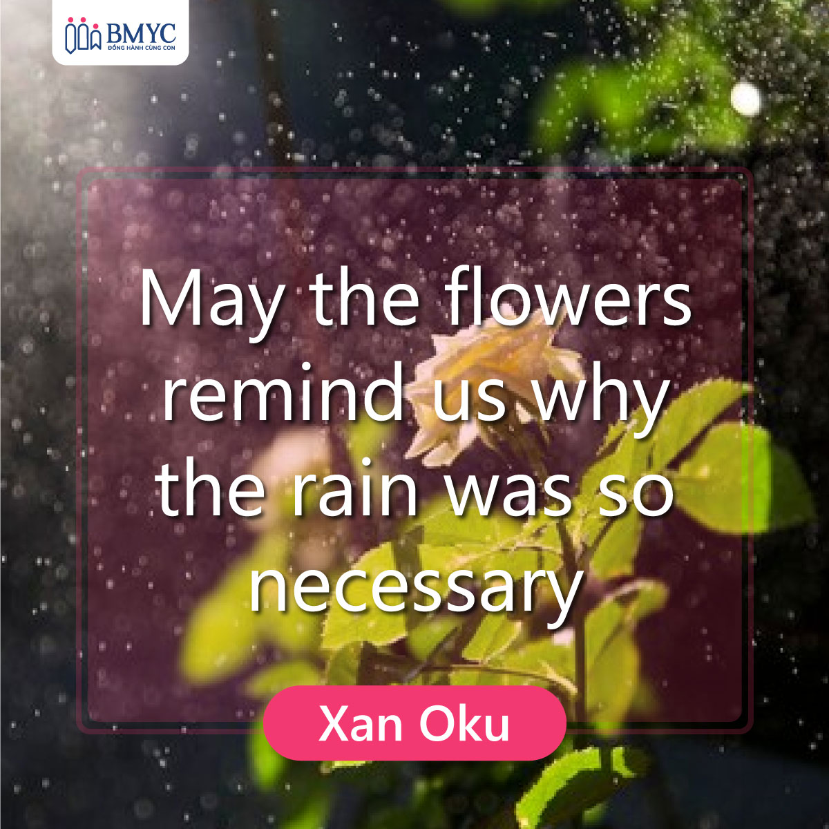 Cố lên trong tiếng Anh - Mong rằng những bông hoa nhắc nhở chúng ta tại sao mưa lại cần thiết đến thế