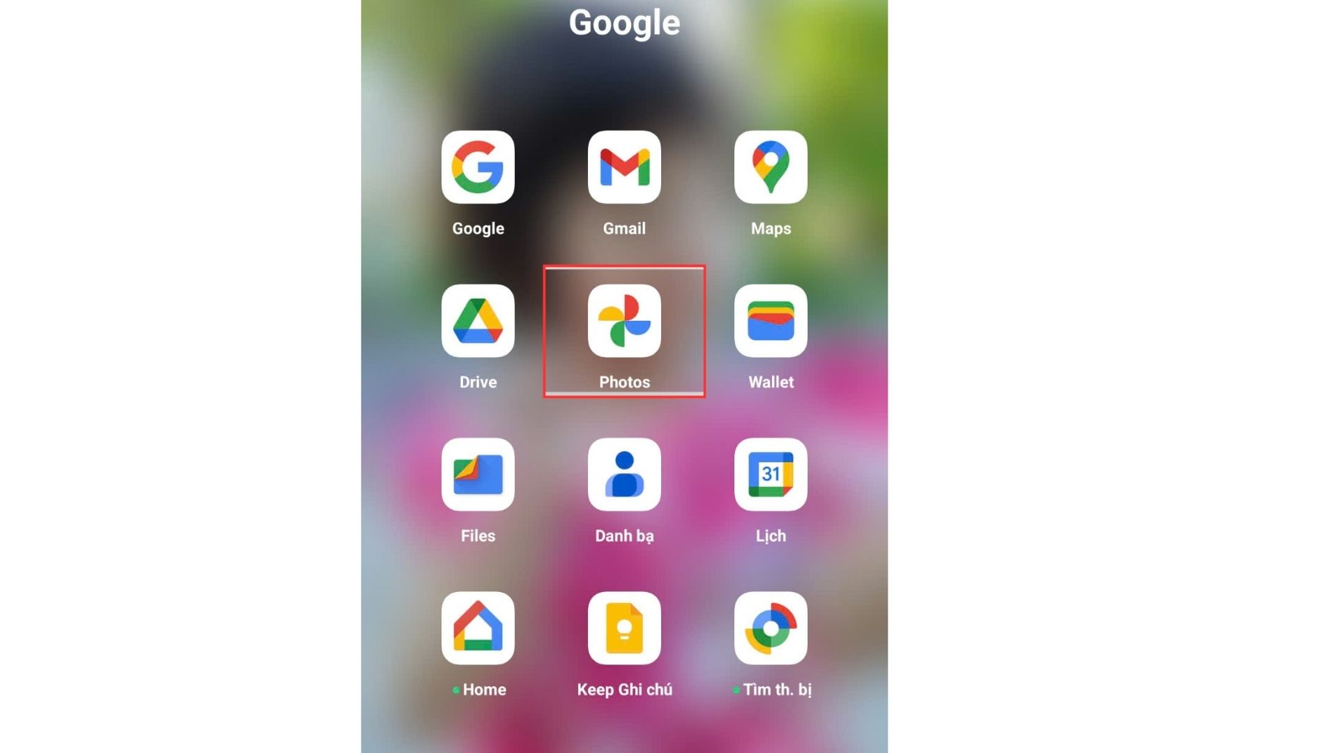 Ứng dụng Google photos trên điện thoại