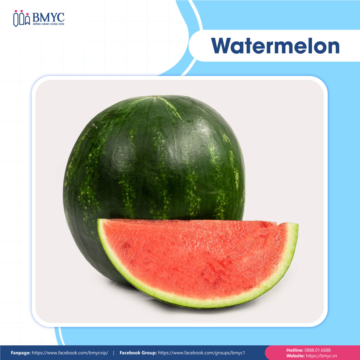 Câu đố tiếng Anh về trái cây - Watermelon