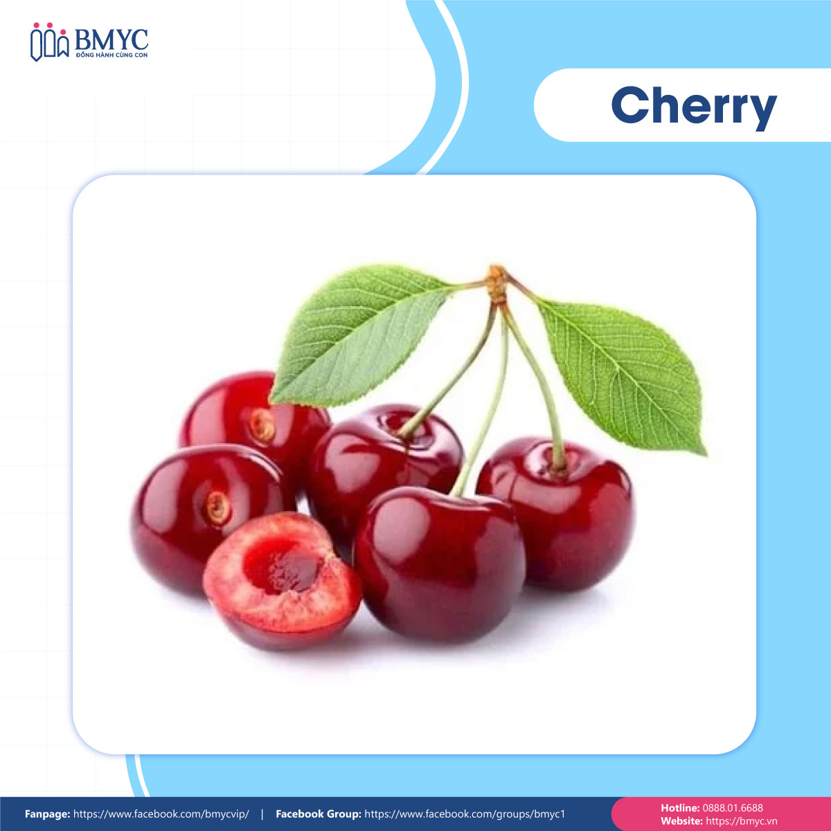 Câu đố tiếng Anh về trái cây - Cherry