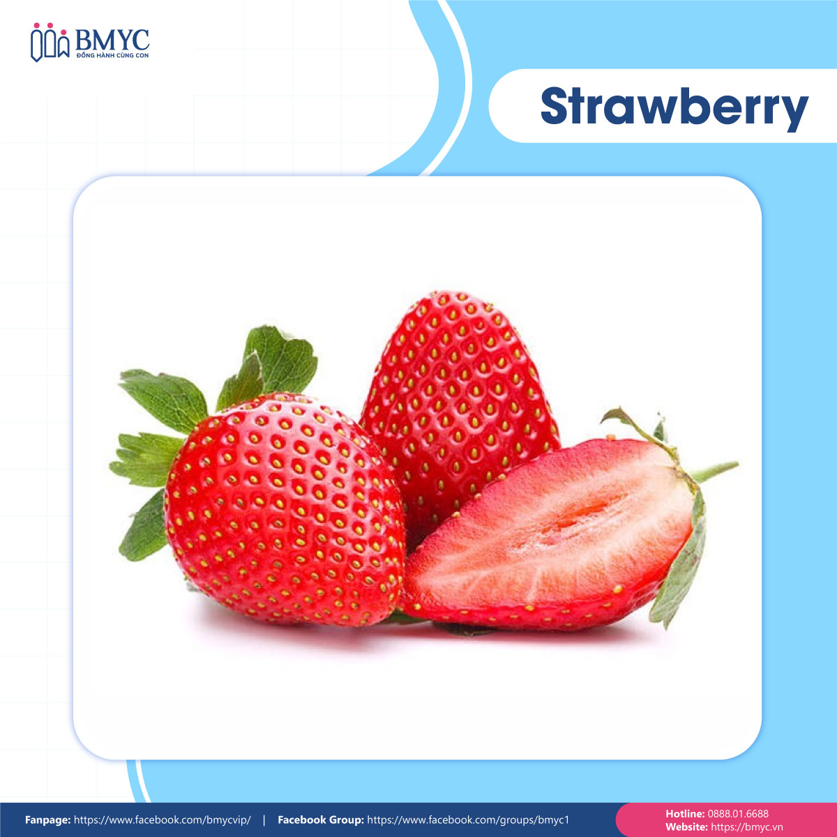 Câu đố tiếng Anh về trái cây - Strawberry