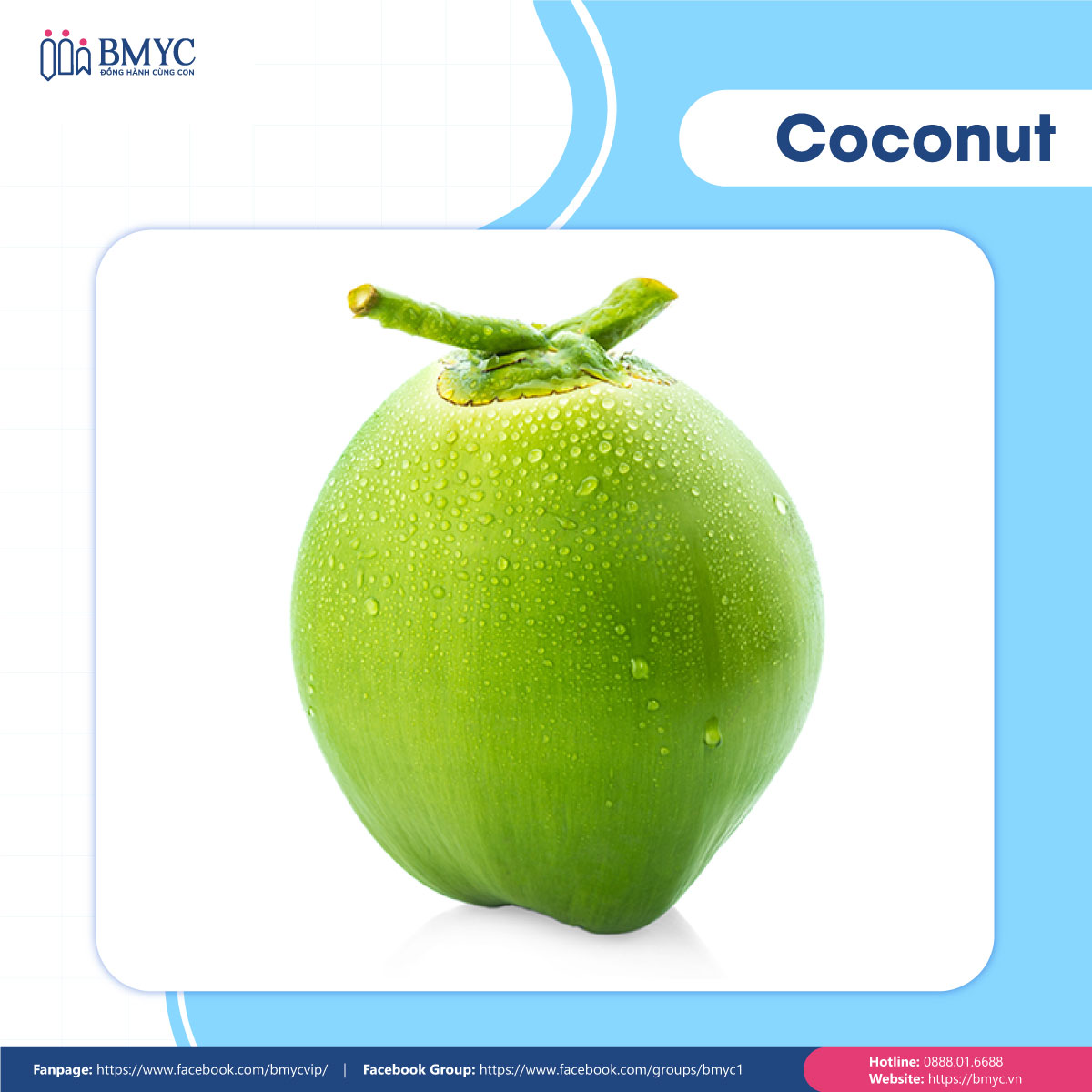 Câu đố tiếng Anh về trái cây - Coconut