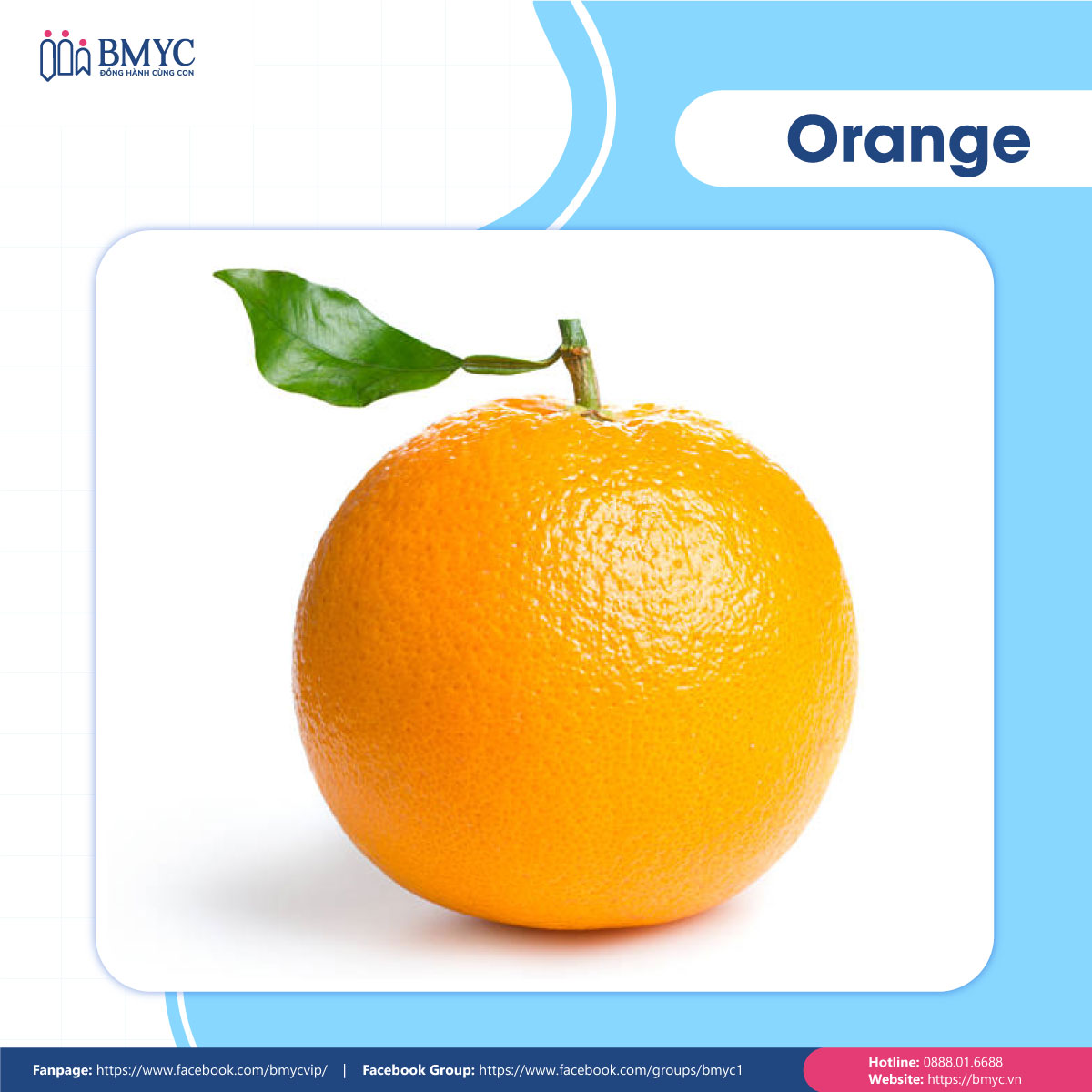 Câu đố tiếng Anh về trái cây - Orange