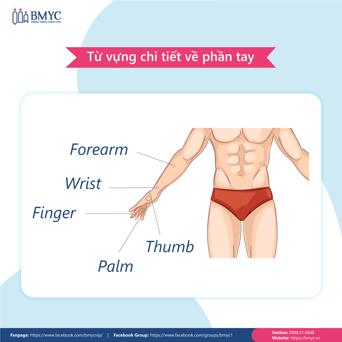 Từ vựng chi tiết về phần tay