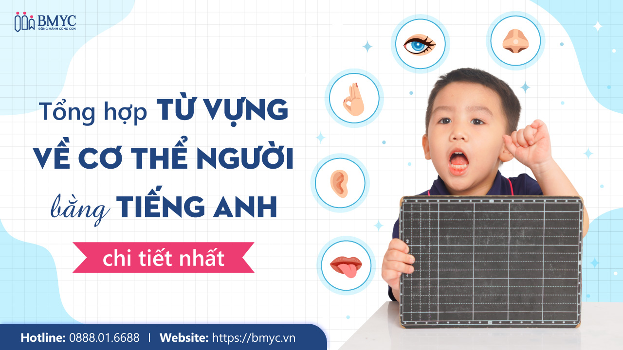 Từ vựng về cơ thể người bằng tiếng Anh