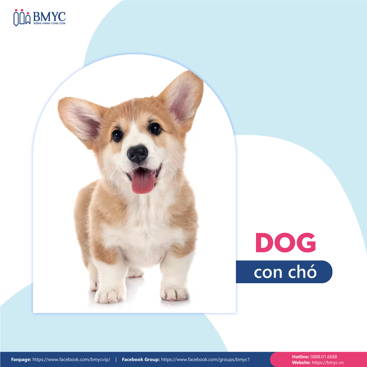 Đoạn văn mẫu viết về con vật yêu thích bằng tiếng Anh - Con chó (Dog)