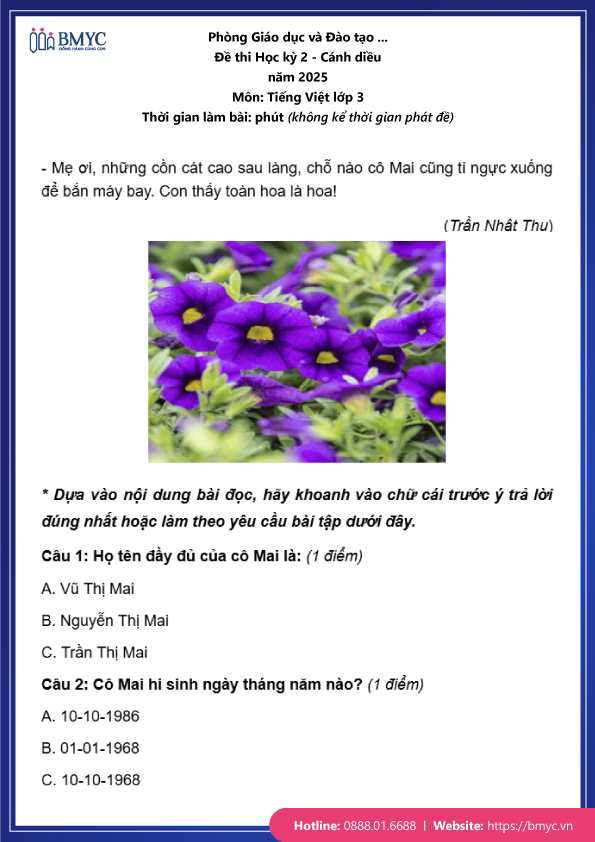 Đề thi tiếng Việt lớp 3 học kỳ 2 đề 2 trang 2