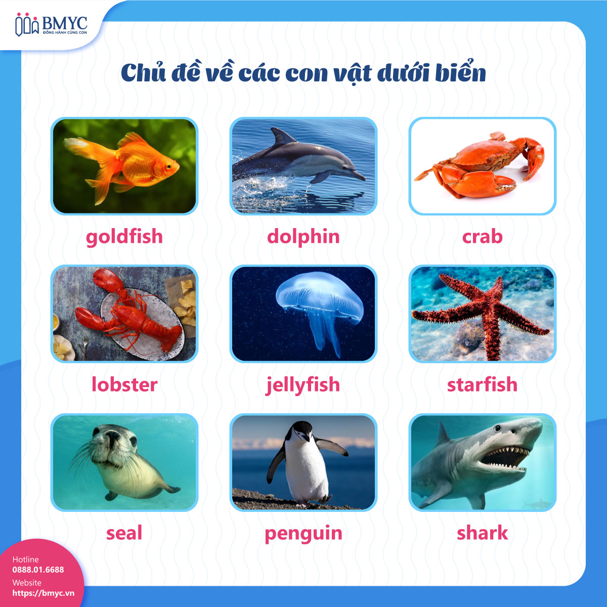 Chủ đề về các con vật dưới biển (sea animals)