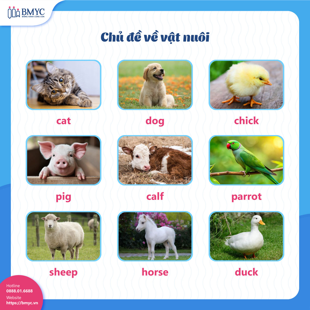 Chủ đề về vật nuôi (Pets)