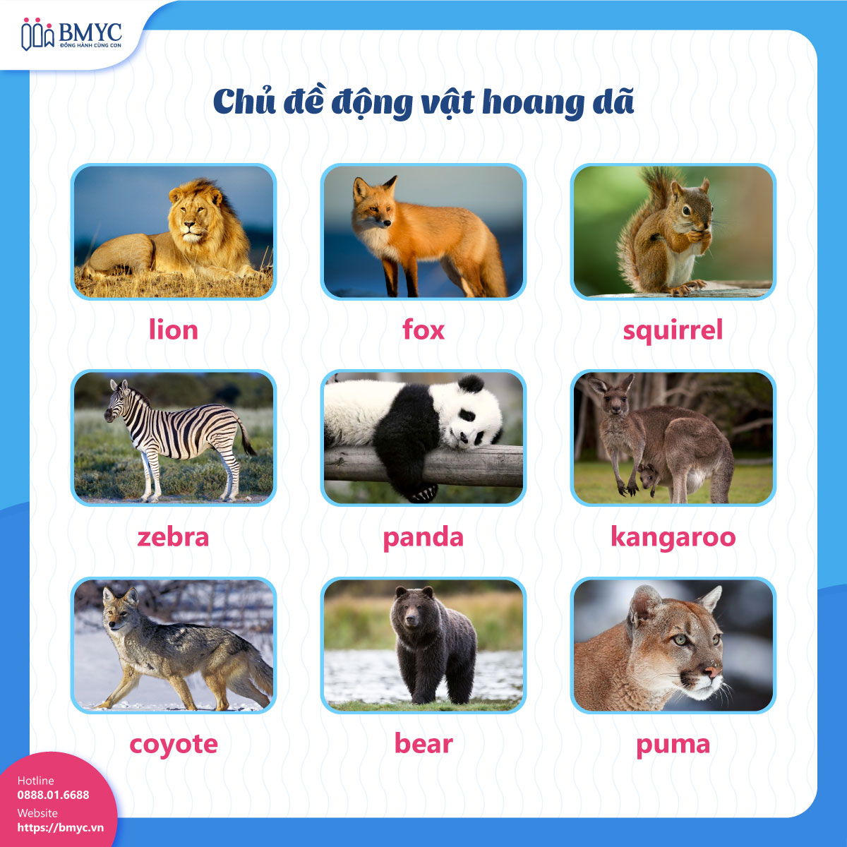 Chủ đề động vật hoang dã (wildlife)