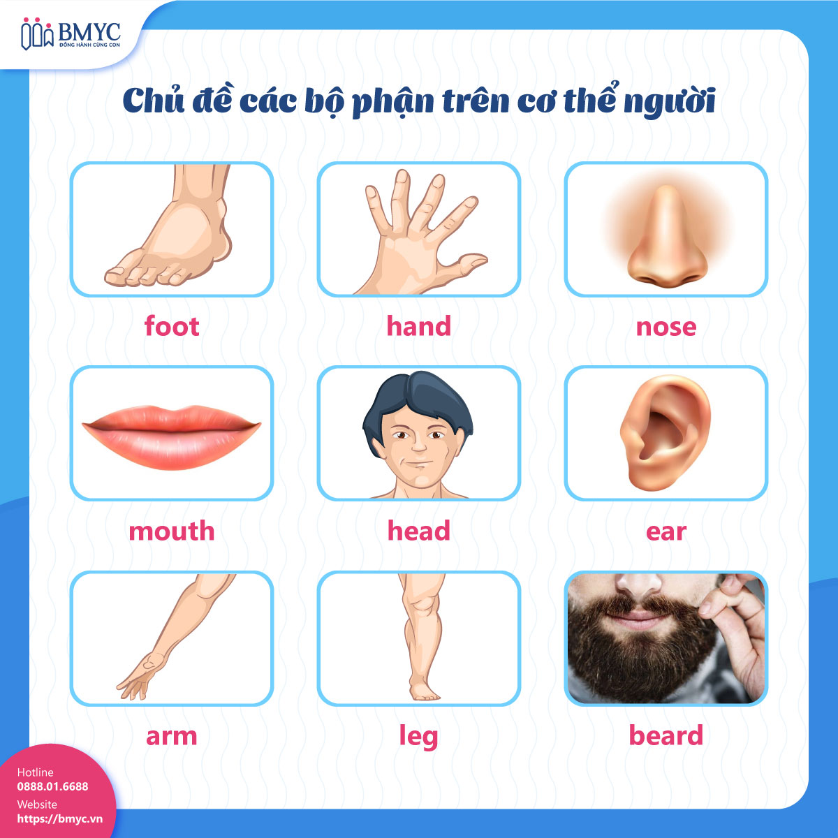 Chủ đề các bộ phận trên cơ thể người (body)