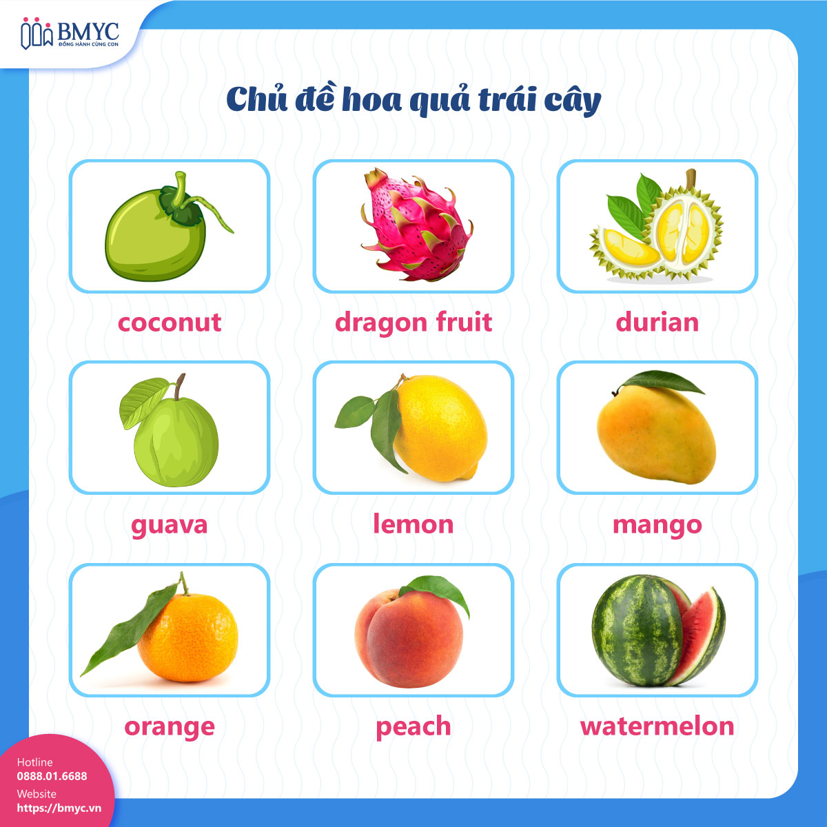 Chủ đề hoa quả trái cây (fruit)