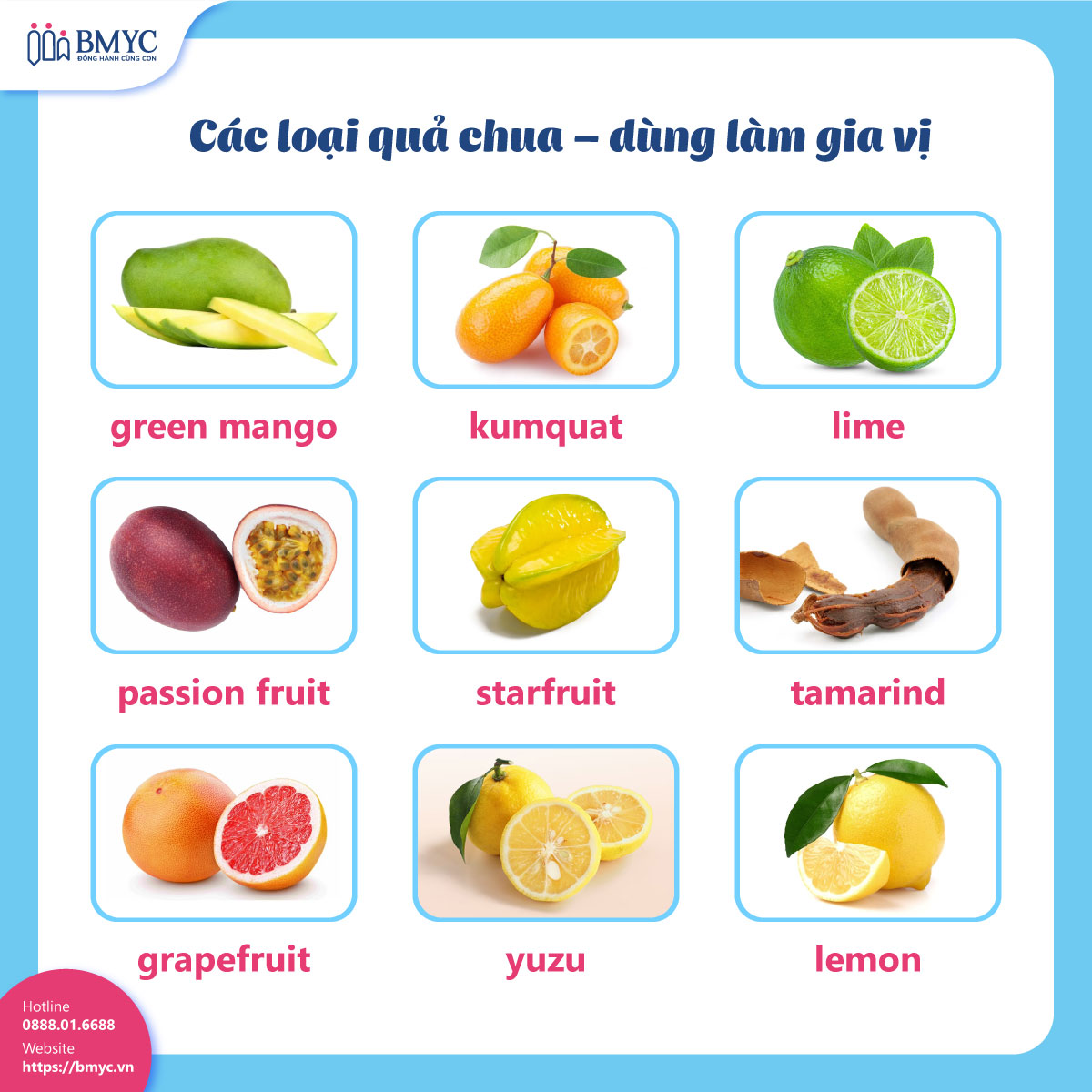 Các loại quả chua – dùng làm gia vị
