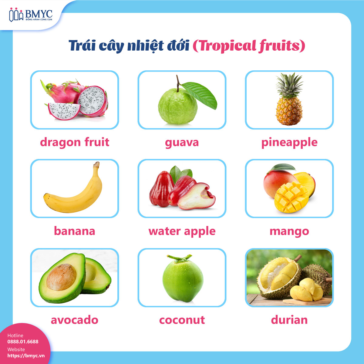 Trái cây nhiệt đới (Tropical fruits)