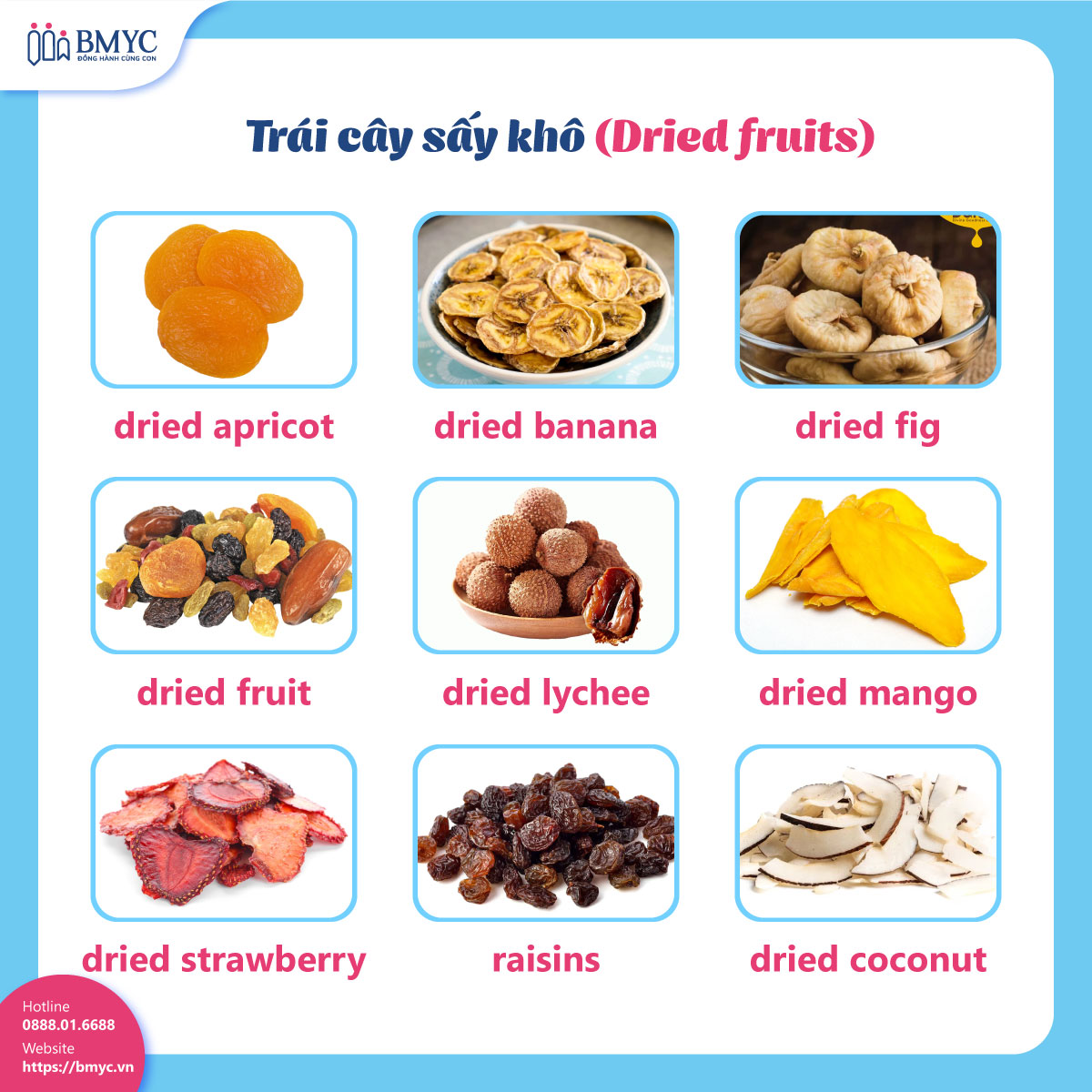 Trái cây sấy khô (Dried fruits)
