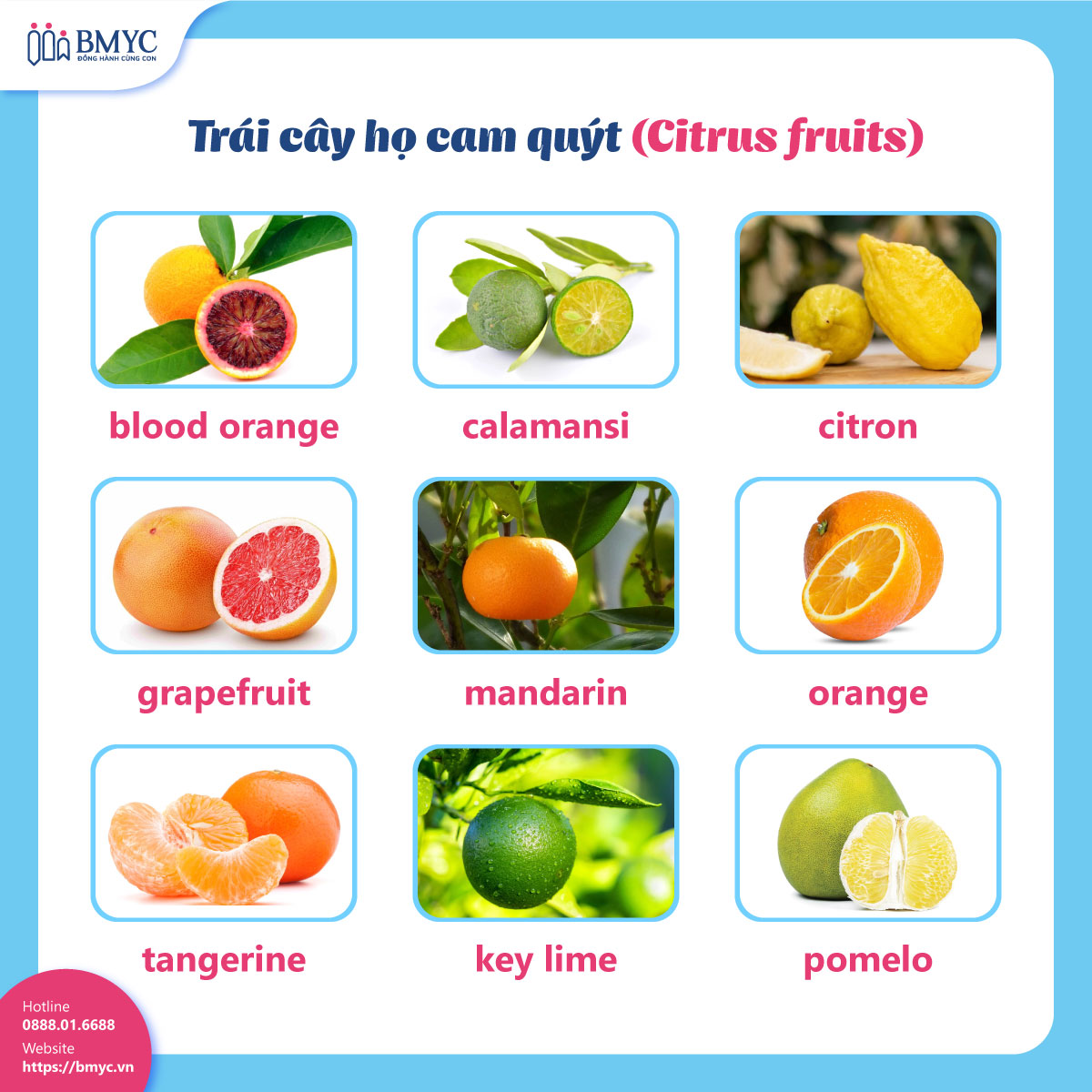 Trái cây họ cam quýt (Citrus fruits)