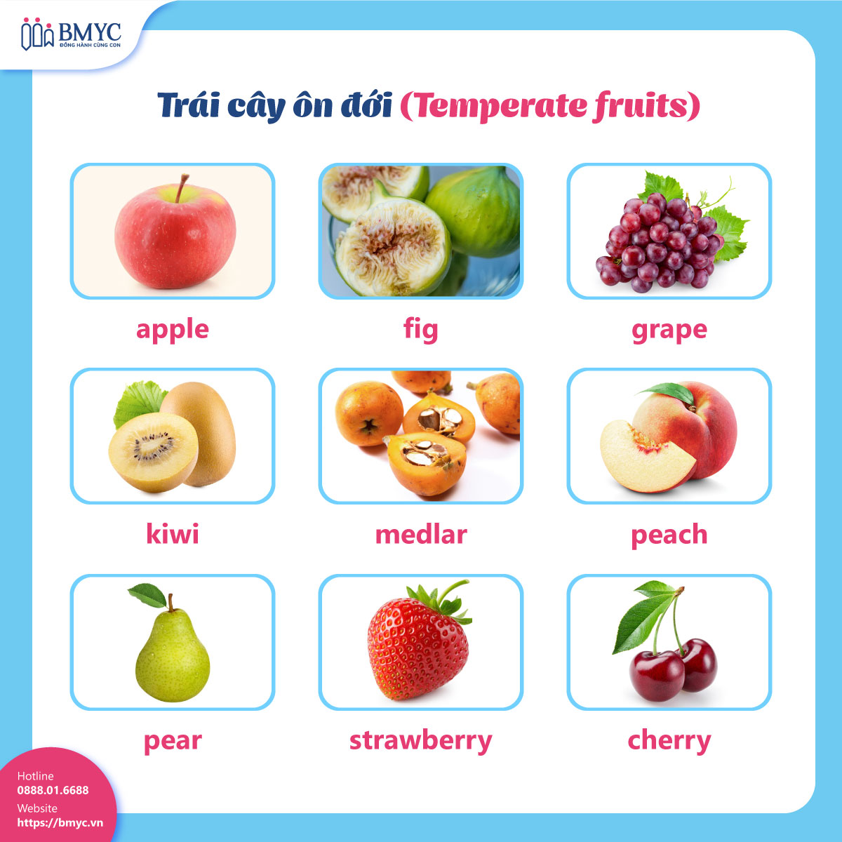 Trái cây ôn đới (Temperate fruits)