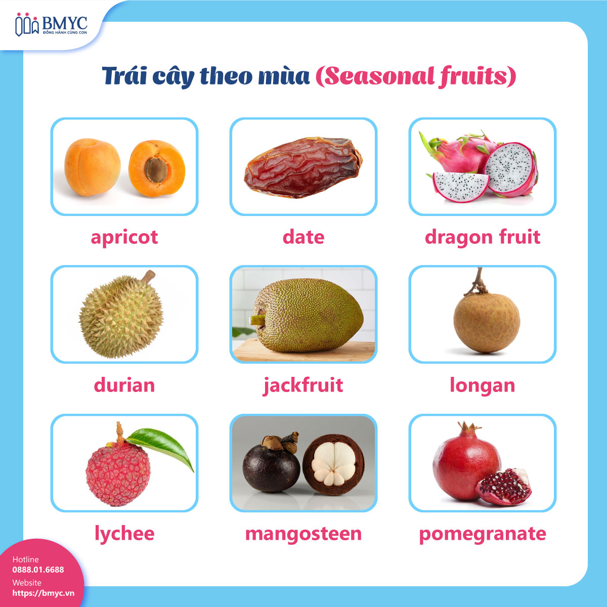 Trái cây theo mùa (Seasonal fruits)