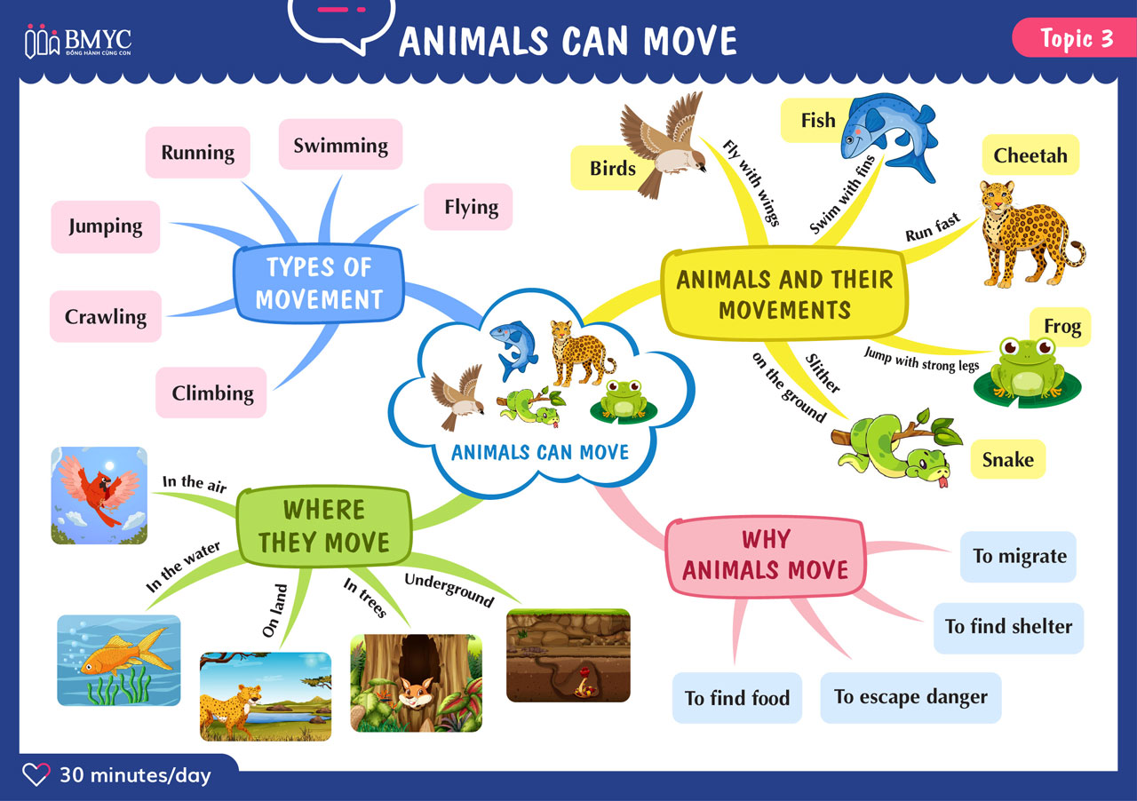 Topic 3 ANIMALS CAN MOVE 01