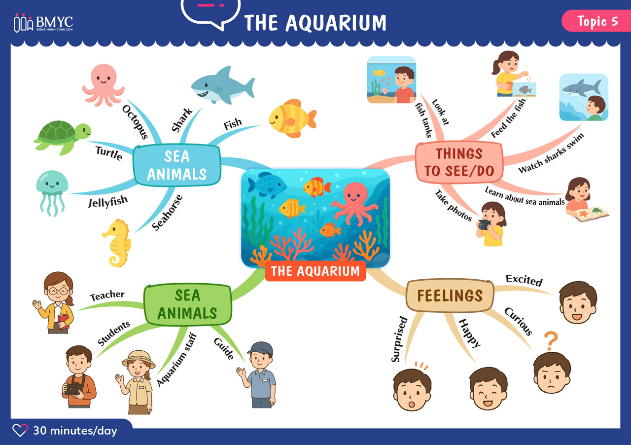 Topic 5 THE AQUARIUM 01
