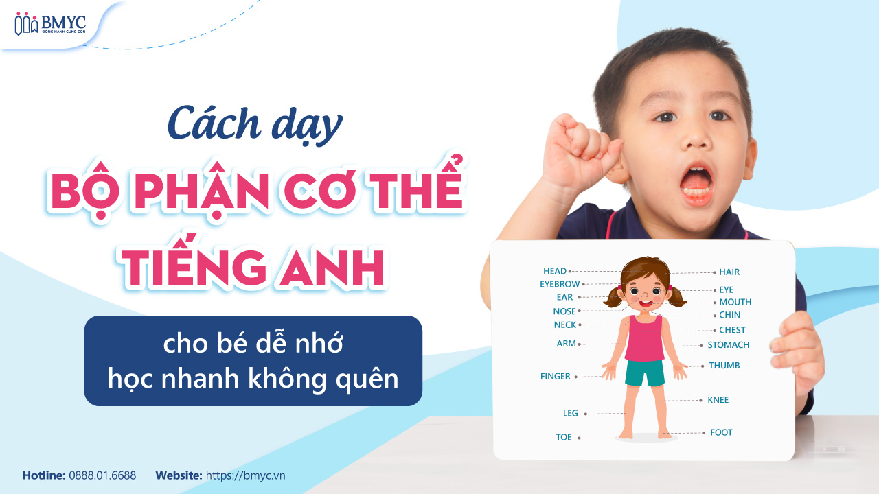 Cách dạy bộ phận cơ thể tiếng Anh cho bé dễ nhớ, học nhanh không quên