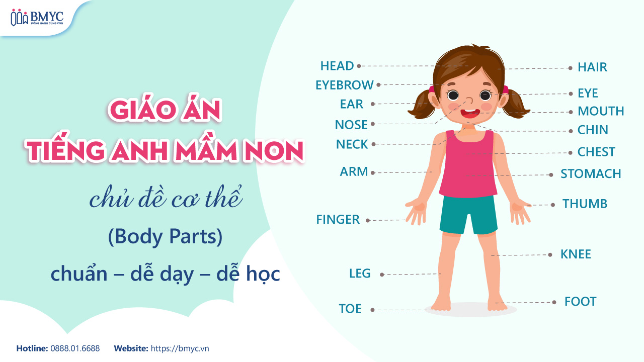 Giáo án tiếng Anh mầm non chủ đề cơ thể (Body Parts) chuẩn – dễ dạy – dễ học