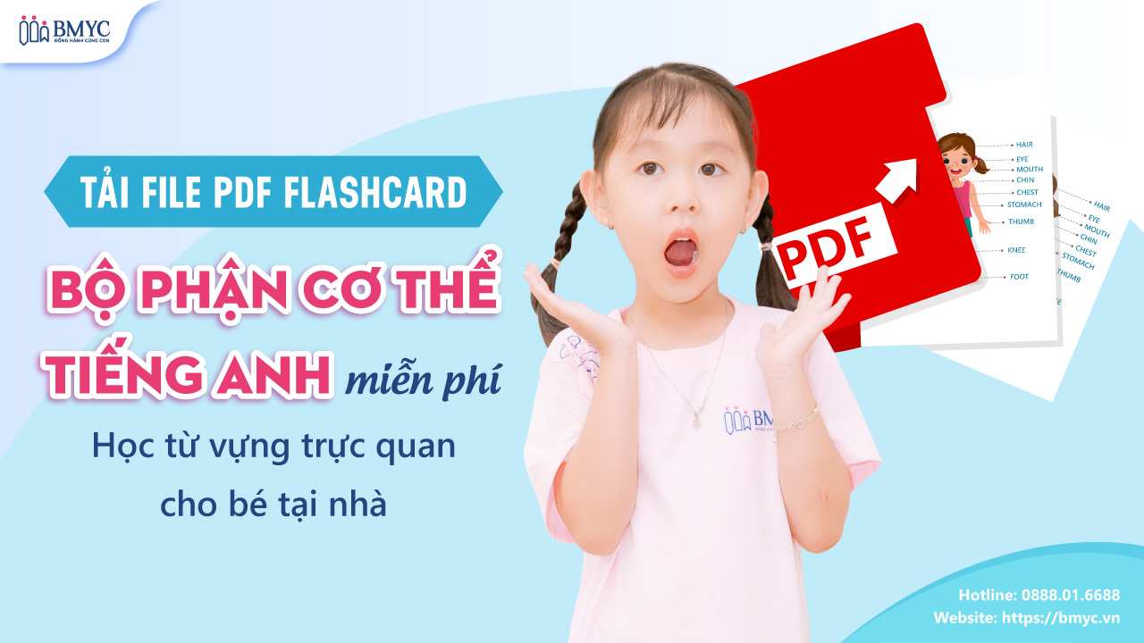 Tải file PDF flashcard bộ phận cơ thể tiếng Anh miễn phí – Học từ vựng trực quan cho bé tại nhà