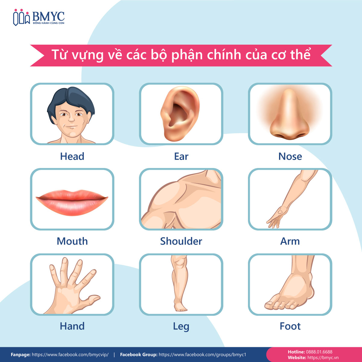 từ vựng bộ phận cơ thể (My Body)